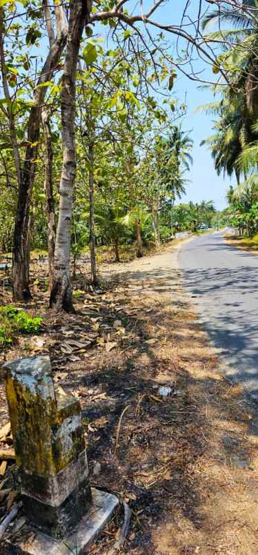 tanah 945 m2 temon kulon progo