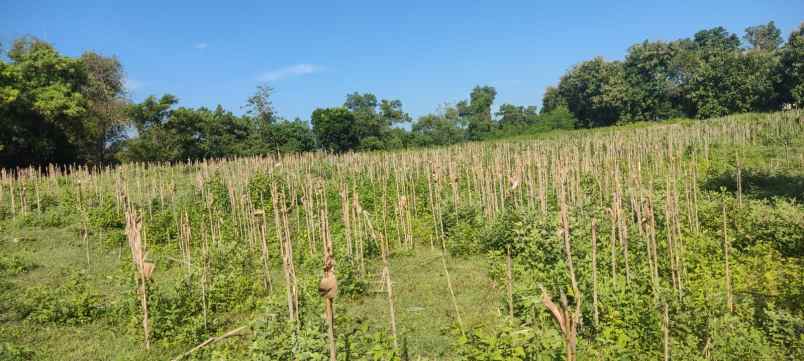 tanah berbek nganjuk