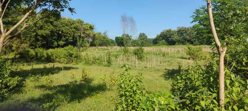 tanah berbek nganjuk