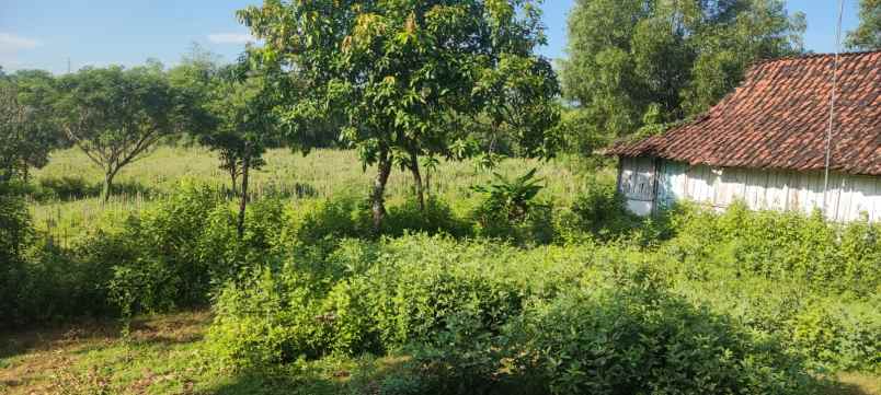 tanah berbek nganjuk