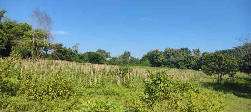 tanah berbek nganjuk