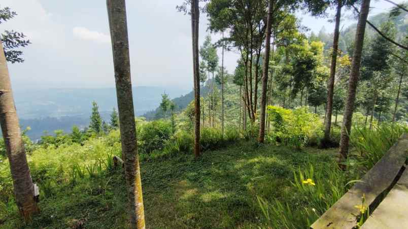 tanah best view di mega mendung bogor