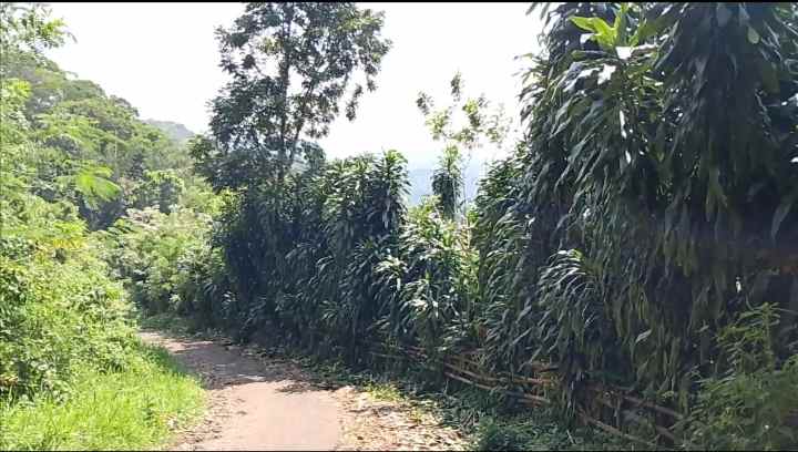 tanah daerah jalan cagak subang