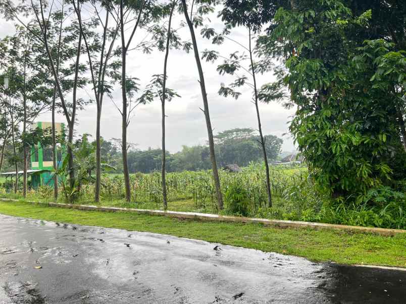 tanah datar 1172m tepi jl dpu mojogedang karanganyar