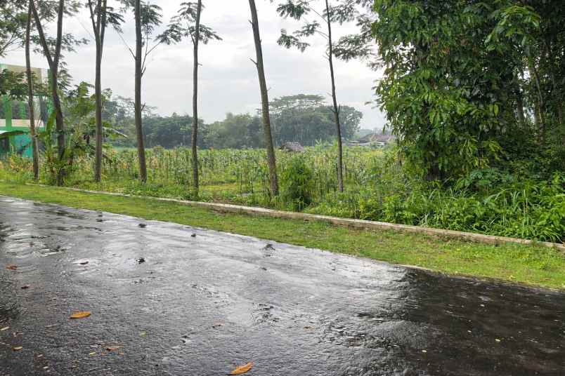 tanah datar 1172m tepi jl dpu mojogedang karanganyar