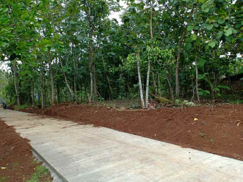 tanah dekat sman 1 kerjo