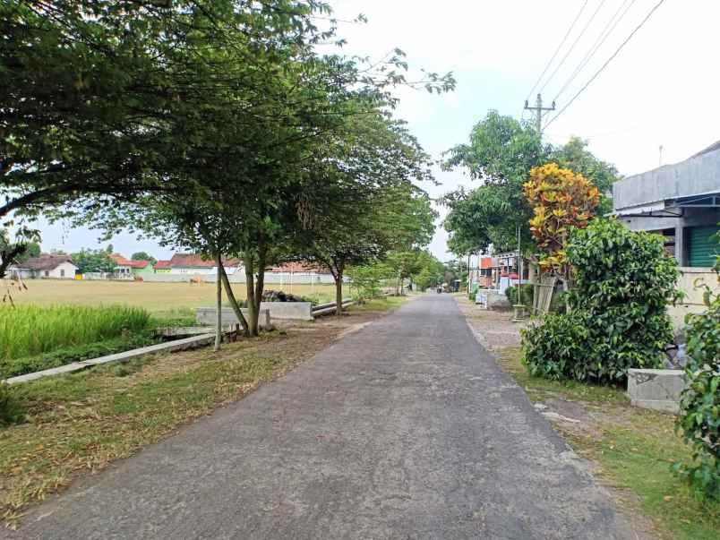 tanah desa kedawung kec kedawung