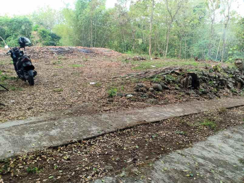 tanah desa kedawung kec kedawung