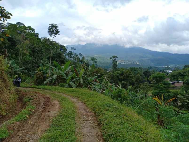 tanah desa wisata alam kemuning
