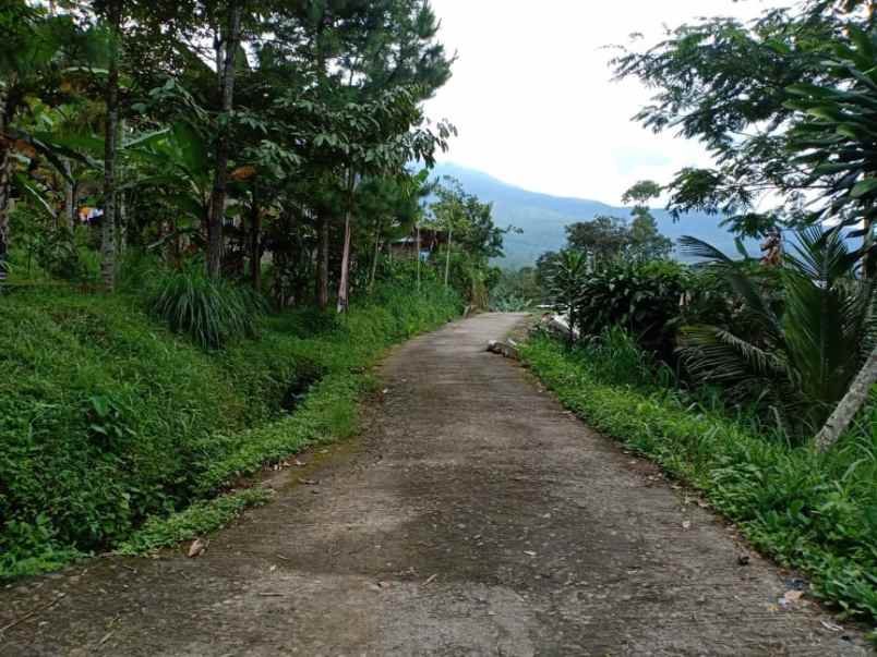 tanah desa wisata alam kemuning