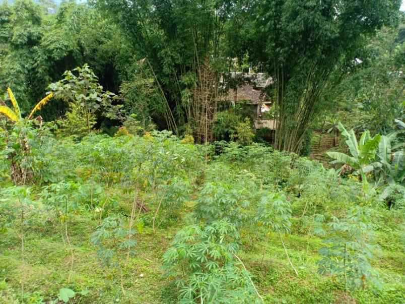 tanah desa wisata alam kemuning