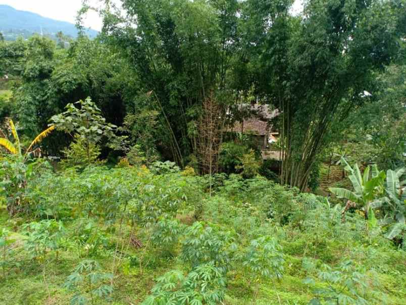 tanah desa wisata alam kemuning