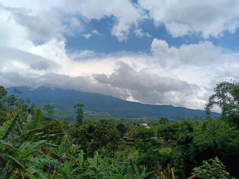 tanah desa wisata alam kemuning