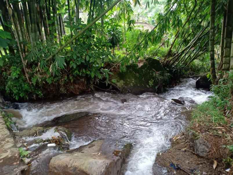 tanah desa wisata alam kemuning