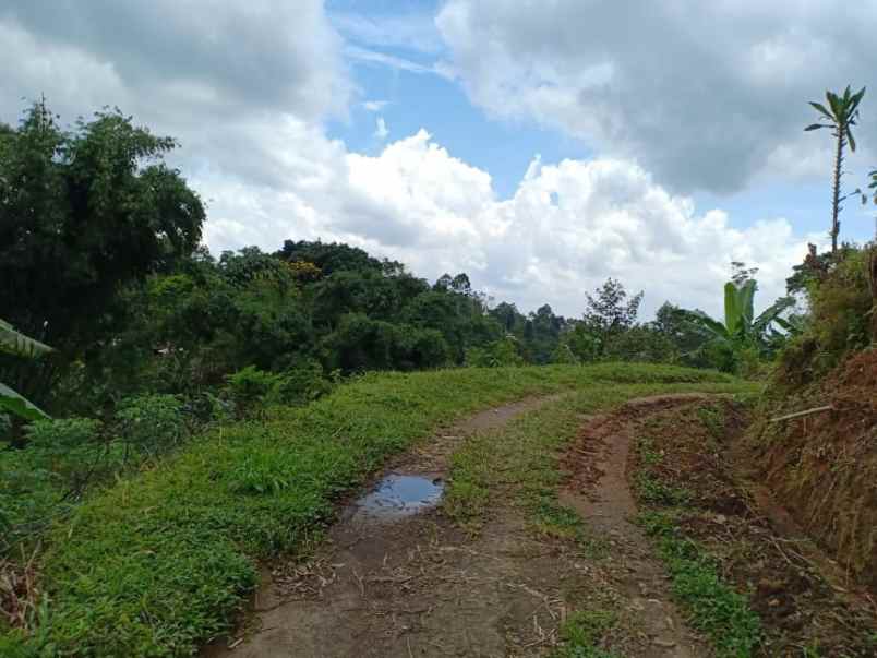 tanah desa wisata alam kemuning