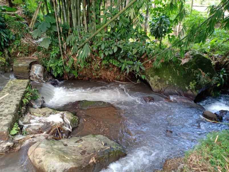 tanah desa wisata alam kemuning