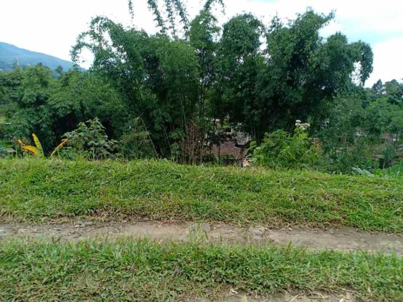 tanah desa wisata alam kemuning