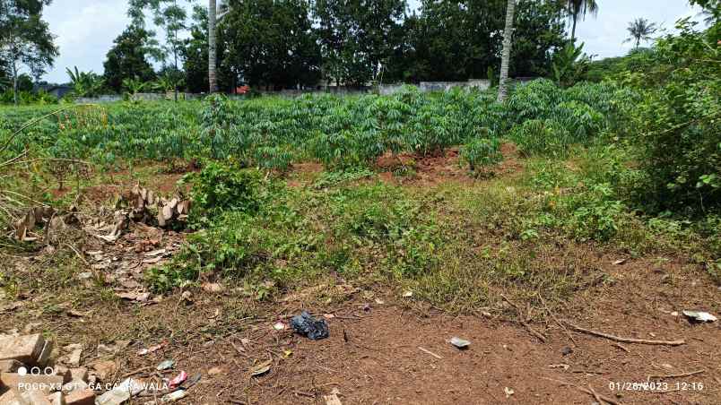 tanah di hajimena natar luas 5000m surat shm