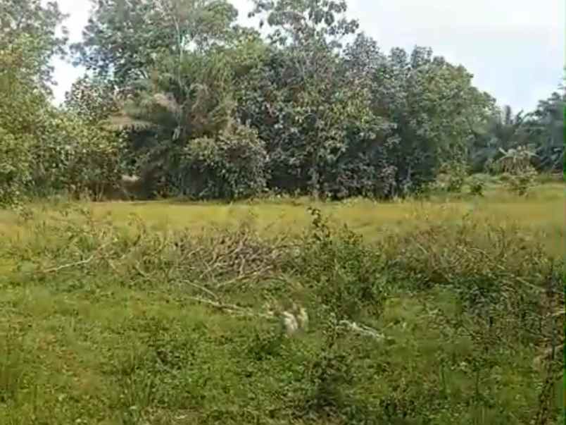 tanah di jati agung dekat itera 12 100m shm