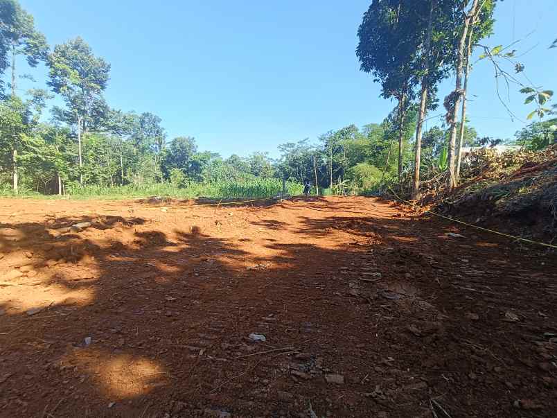 tanah dijual murah di gunungpati semarang