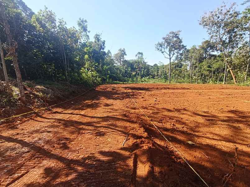 tanah dijual murah di gunungpati semarang
