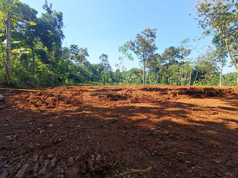 tanah dijual murah di gunungpati semarang
