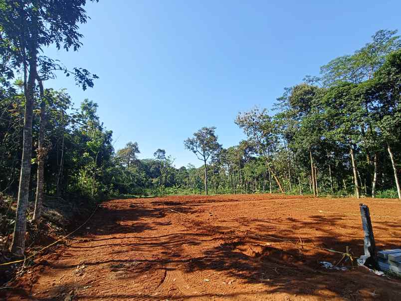 tanah dijual murah di gunungpati semarang