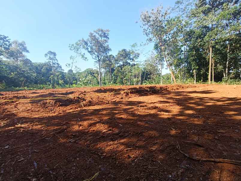 tanah dijual murah di gunungpati semarang