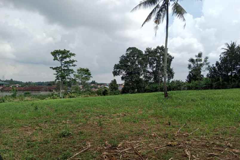tanah jalan lintas sumatera gang
