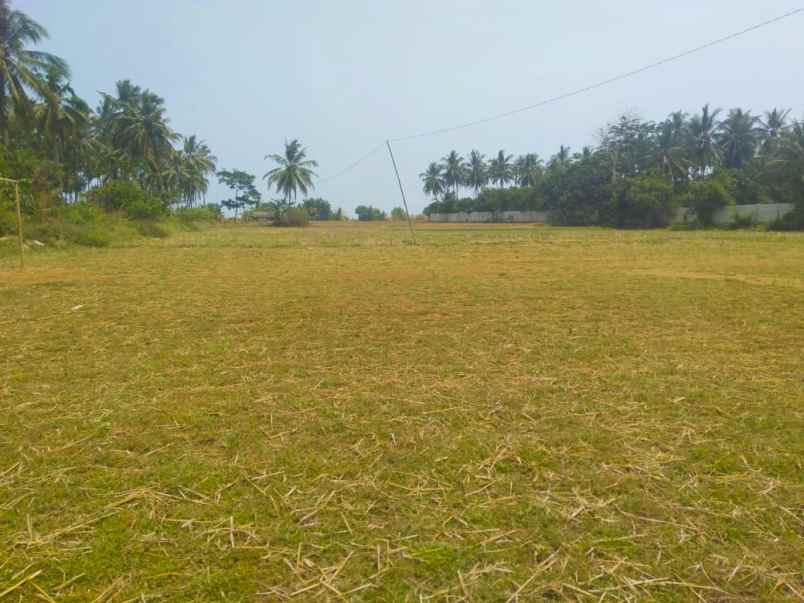 tanah jl raya labuan panimbang