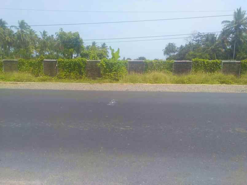 tanah jl raya labuan panimbang