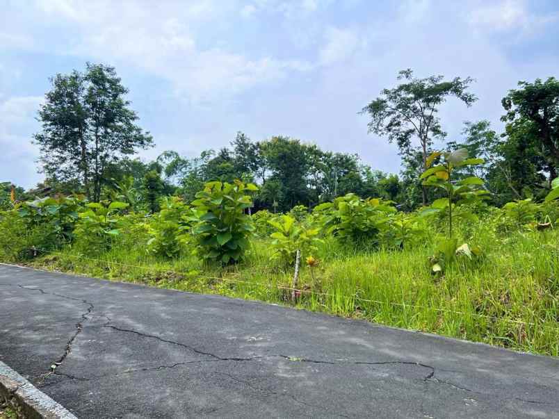 tanah kebun jati 125 juta mojogedang karanganyar