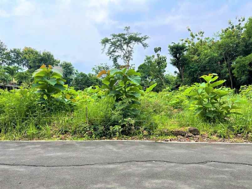 tanah kebun jati 125 juta mojogedang karanganyar