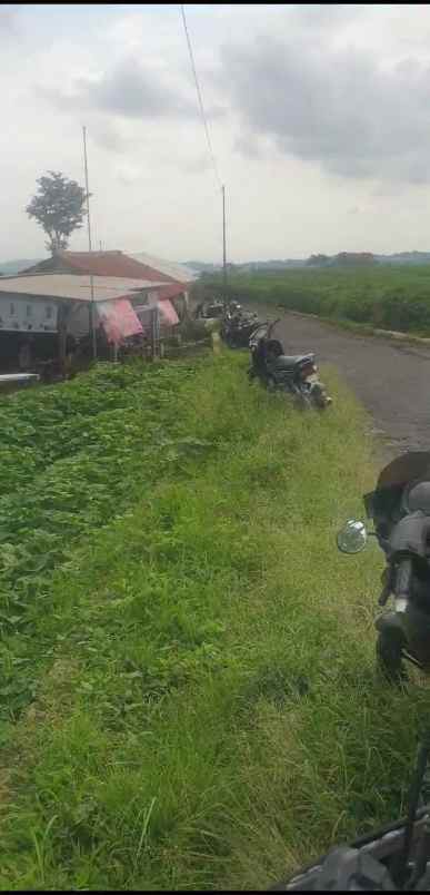 tanah kebun strategis dekat kawasan wisata