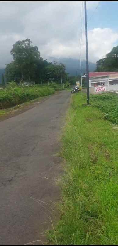 tanah kebun strategis dekat kawasan wisata