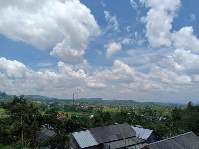 tanah kemuning ngargoyoso