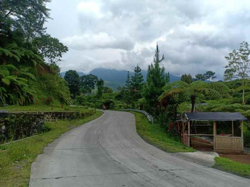 tanah kemuning ngargoyoso