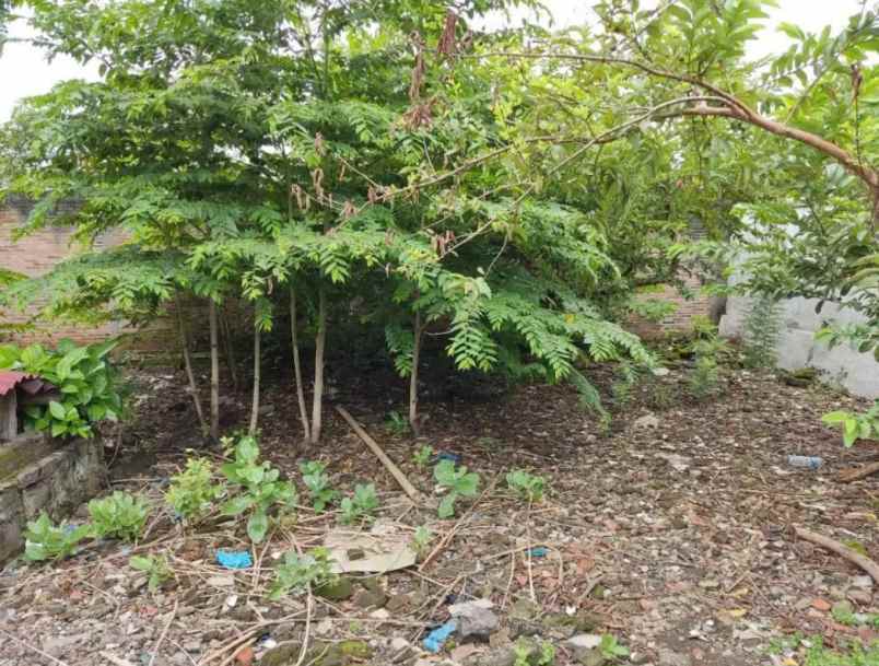 tanah kendeng sampangan semarang