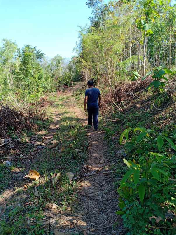 tanah kerjo karanganyar