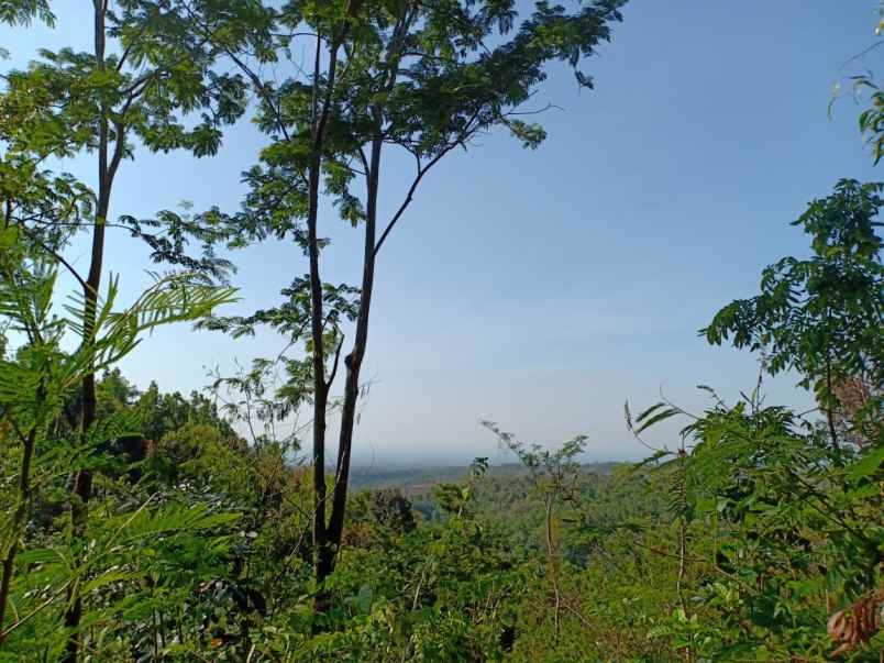 tanah kerjo karanganyar