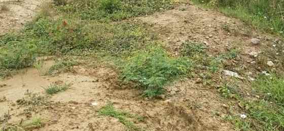 tanah klampis surabaya row jalan 3 mobil