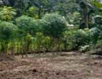 tanah komersil 2 7 ha kota bekasi