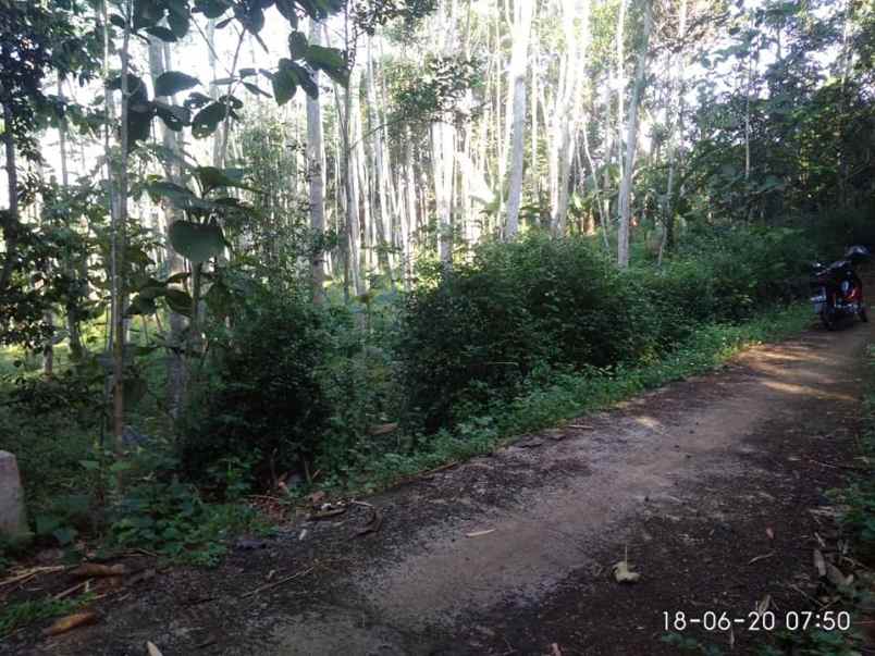 tanah mojogedang karanganyar