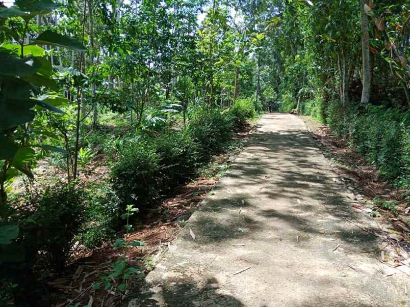 tanah mojogedang karanganyar