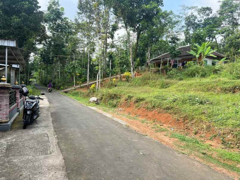 tanah murah hanya 135 juta karangpandan karanganyar