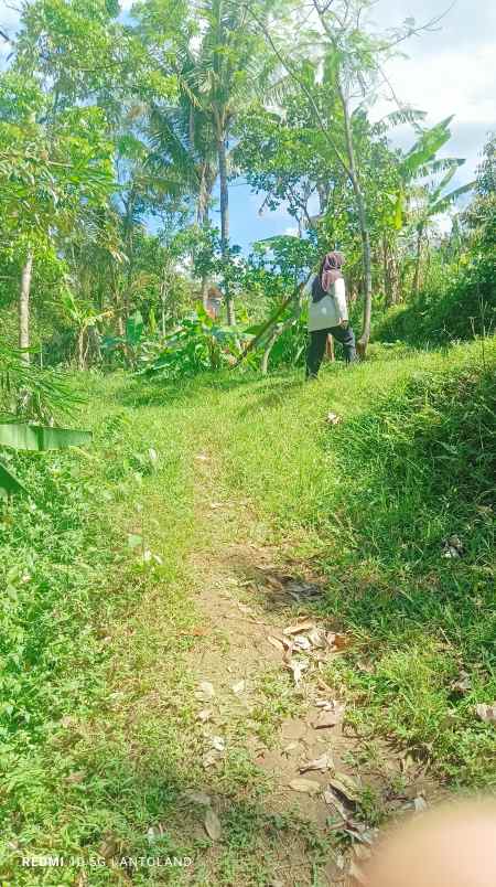 tanah murah lerep ungaran barat