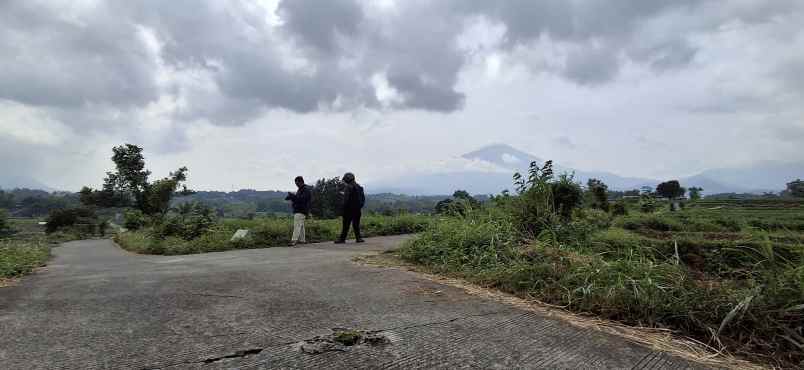tanah murah luasan besar kawasan wisata pacet