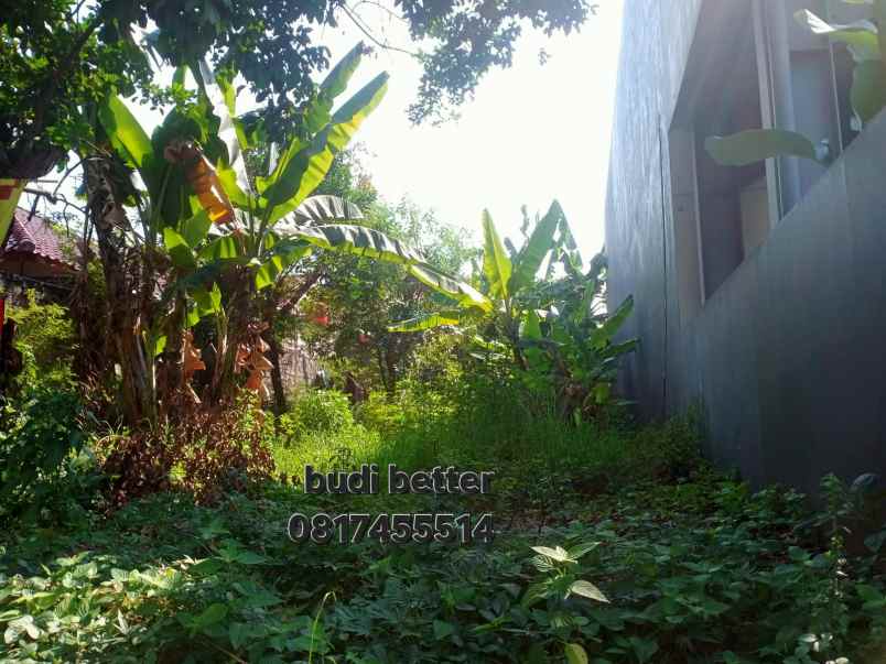 tanah murah shm pinggir jalan ring 1 undip semarang