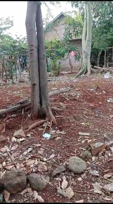 tanah rata dan padat tengah pemukiman