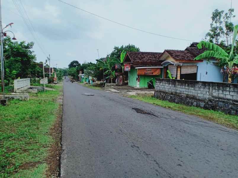 tanah sambirejo sragen